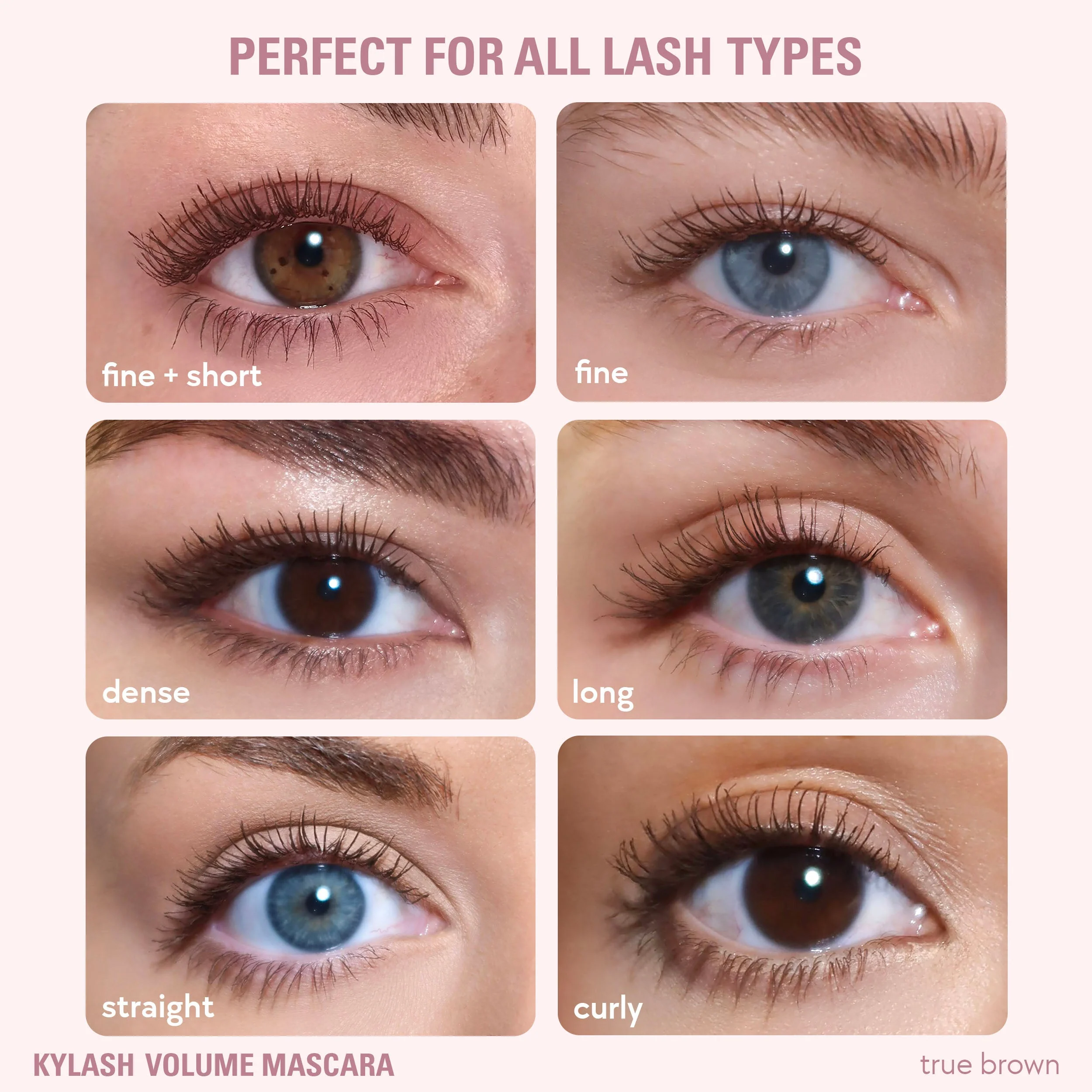 Eyeshadow Brush & Classic Matte Palette & Kylash Mascara Bundle - Image 3