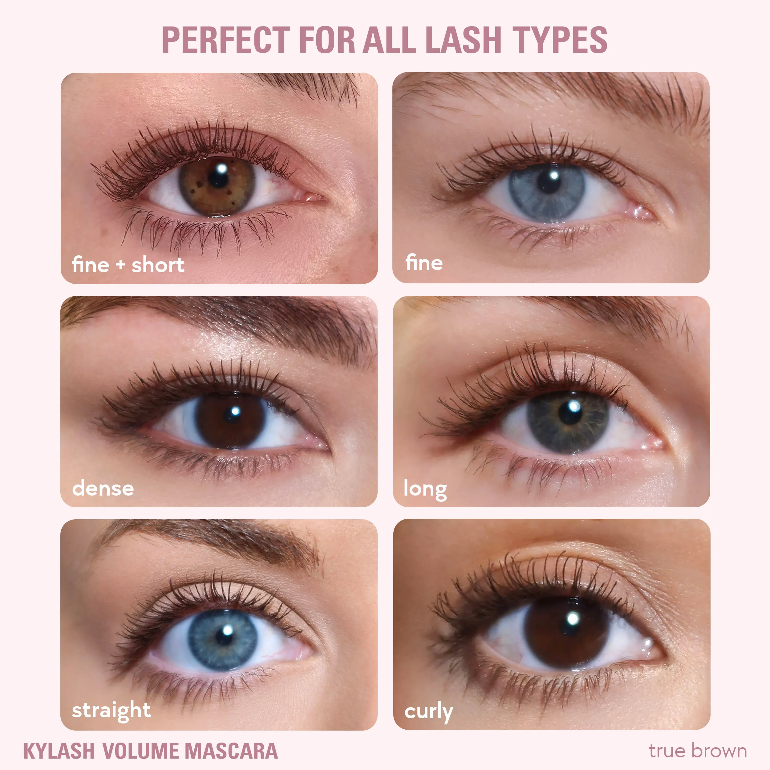 Kylash Volume Mascara & Classic Matte Palette Duo - Image 3