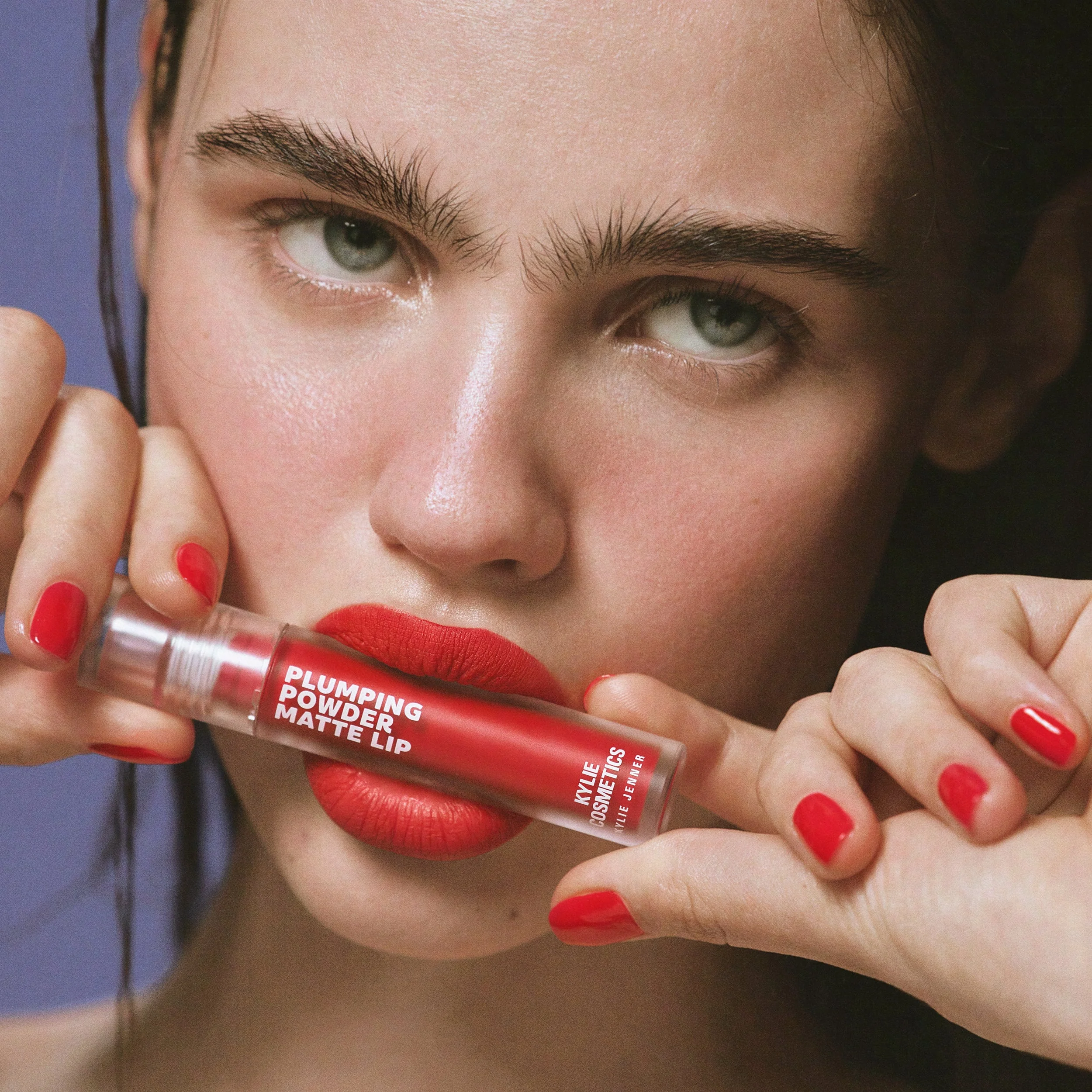 Plumping Powder Matte Lip - Image 27