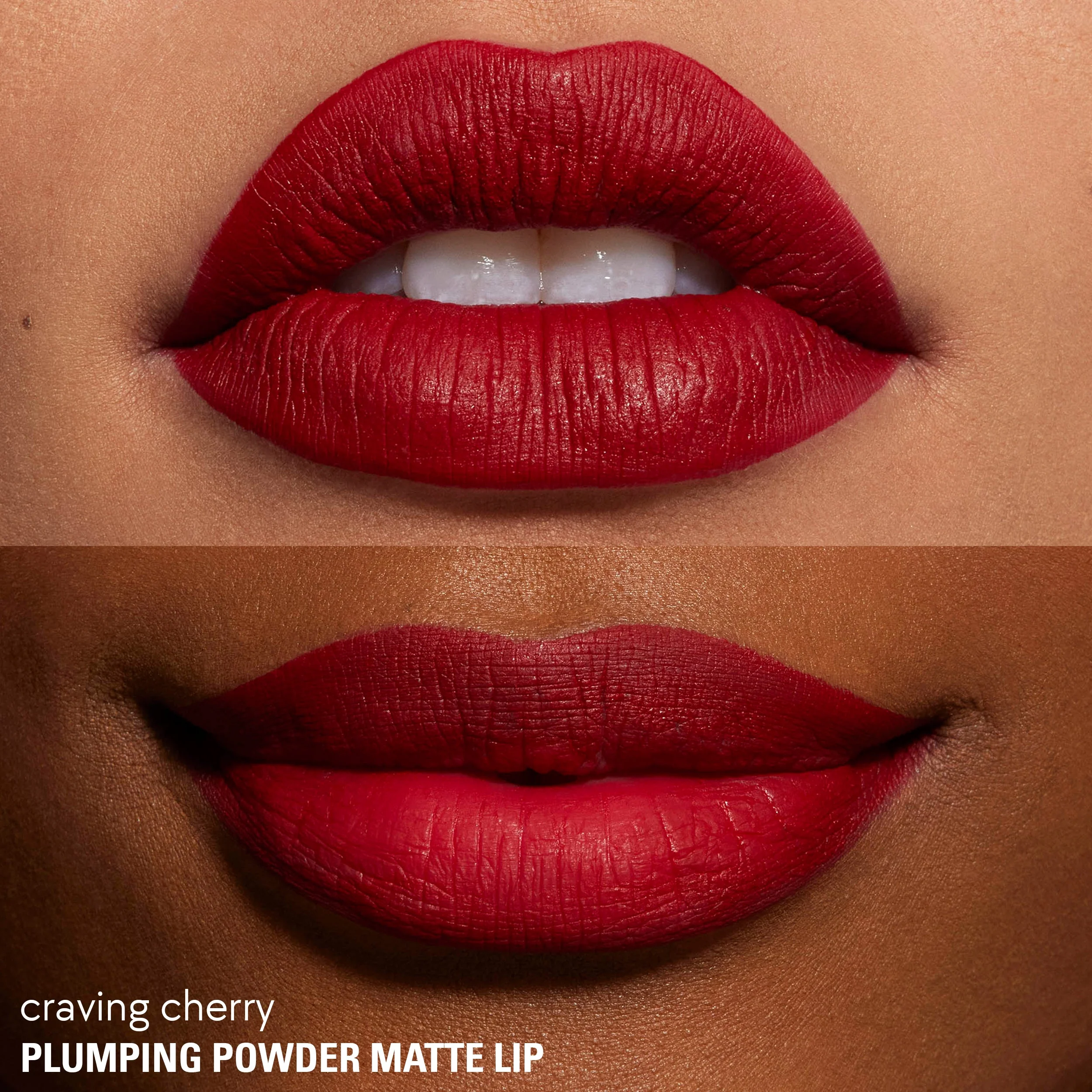 Plumping Powder Matte Lip - Image 30